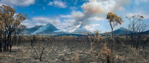 Recently burned bushland in the foreground with several mountains in the background. 